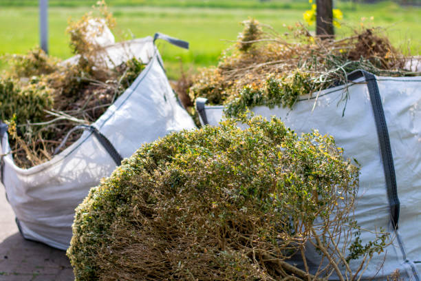 Best Dumpster Rental Services  in Oakwood, GA